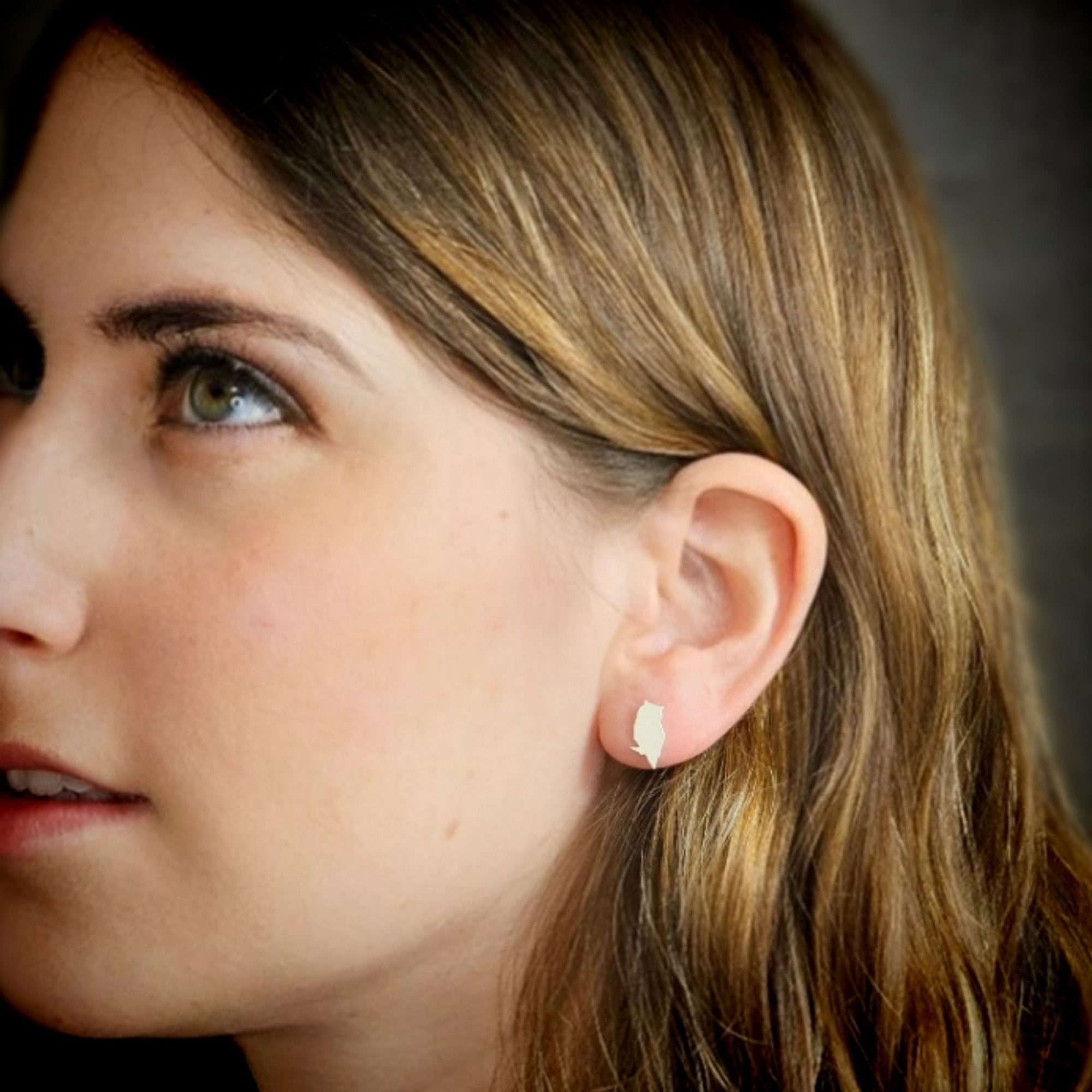 Owl earrings, minimalist bird stud earrings silver owl post