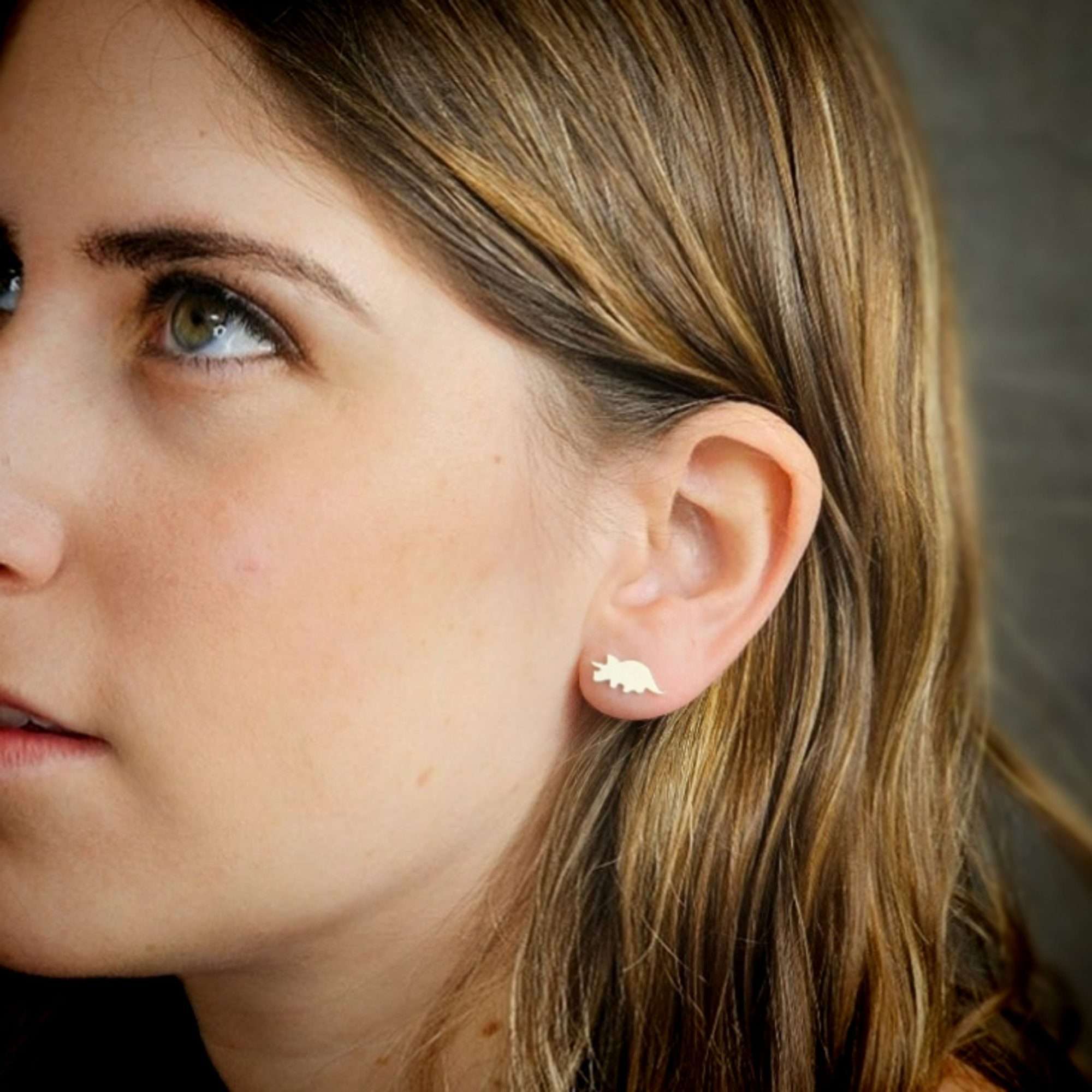 Dinosaur earrings tiny dinosaur post earrings silver dinosaur stud earrings Triceratops earrings