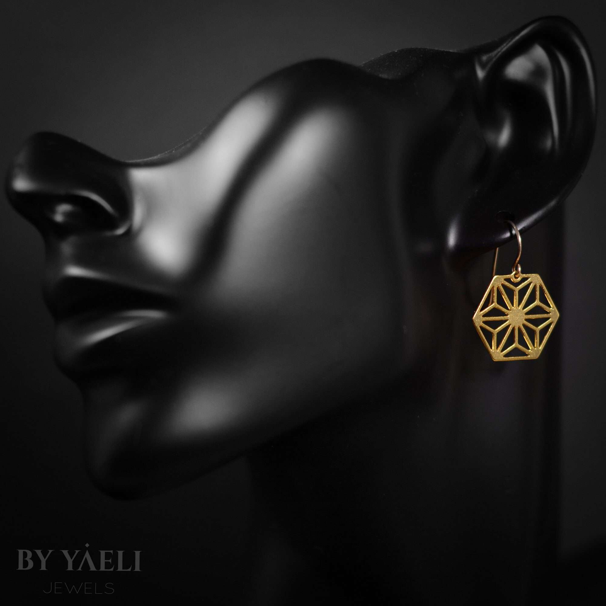 Hexagon earrings , geometric dangle earrings hexagon drop earrings